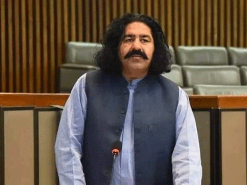 PPP played role in MNA Ali Wazir’s release: Senator Taj Haidar