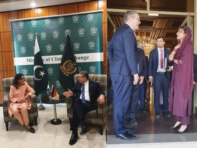 Pakistan playing decisive role for stability in region: German Minister