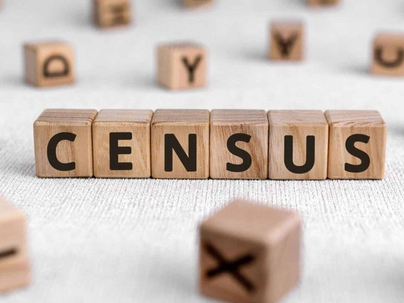 Census 2023: Govt forms committee to oversee 'undercounting' in big cities