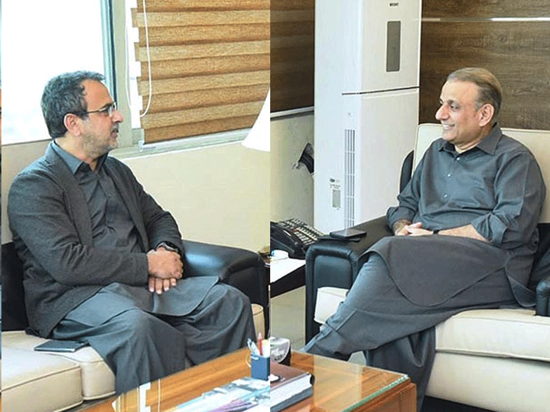 Aleem Khan, Awais Leghari resolve to speed up process for privatisation of Discos