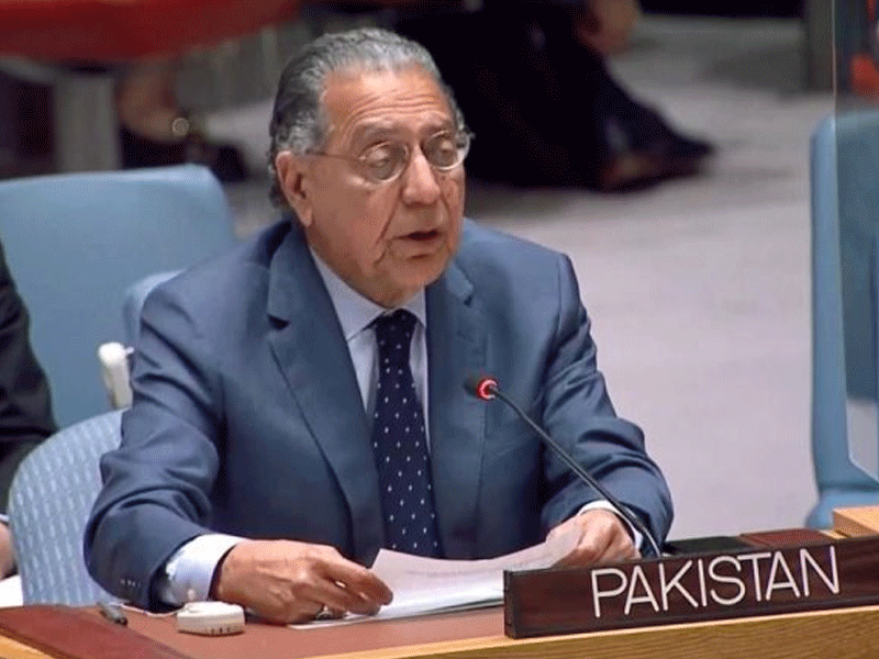 IIOJK’s freedom ‘primary aim’ of Pakistan at UN: Munir Akram