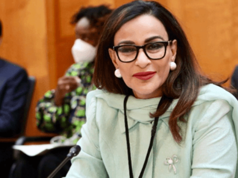 Green financing imperative for climate change mitigation: Sherry Rehman