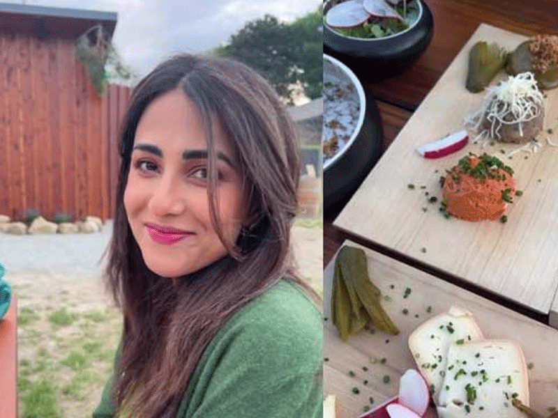 Fans adore Ushna’s picnic pictures with husband