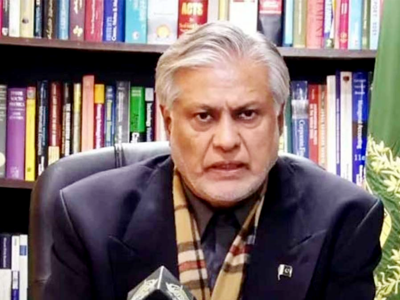 9/5 attackers can’t escape, IMF watching situation critically: Dar