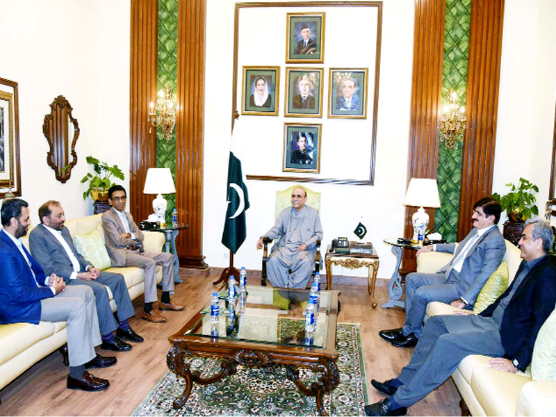 MQM-P meets President Zardari, demands action against street crimes