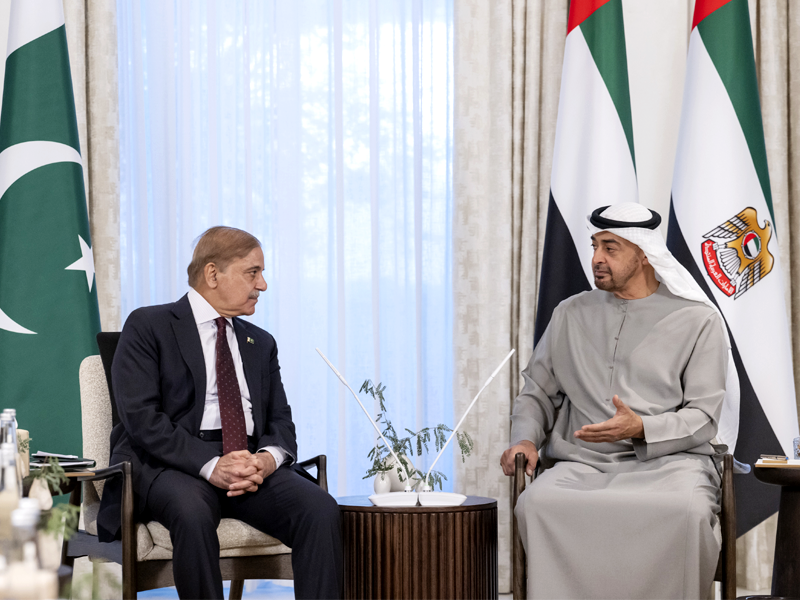 ‘UAE President’s visit postponed over inclement weather’