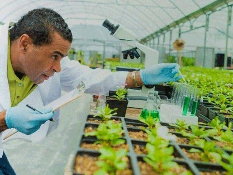 Biotechnology in Agriculture: Cultivating a Sustainable Future