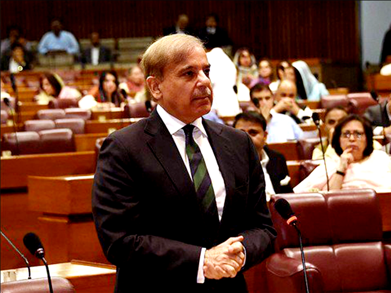 PM Shehbaz appoints another SAMP, tally reaches 32