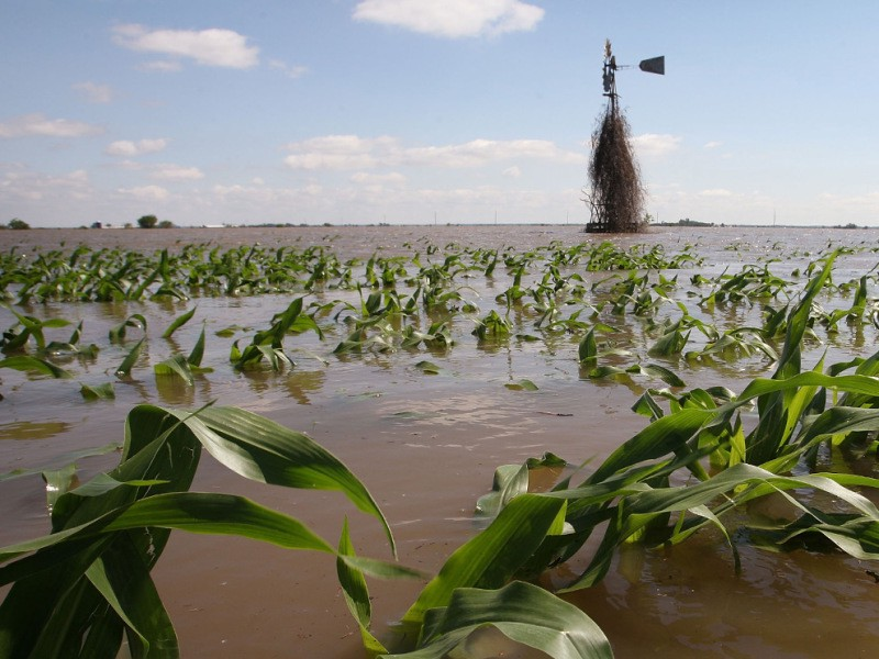 Agriculture most affected by flash floods