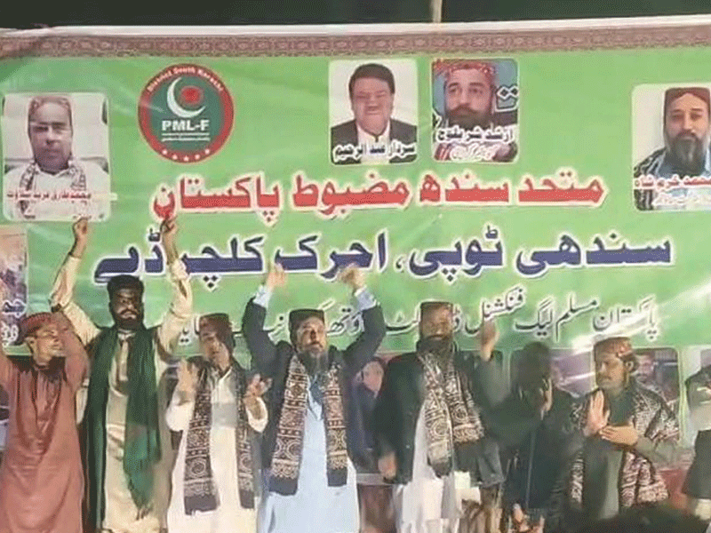 Sindhi culture our identity: PML-F leader