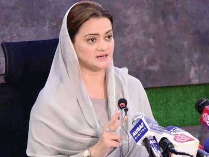 Cowardly foreign-funded agent, Toshakhana watch thief using women, children as shield: Marriyum