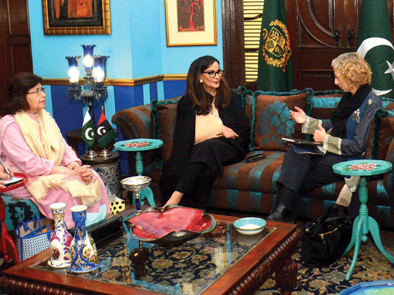 UNEP head, Sherry Rehman discuss ecosystem restoration