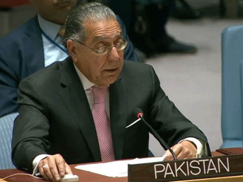 Pakistan can play important role on UN platform: Munir Akram