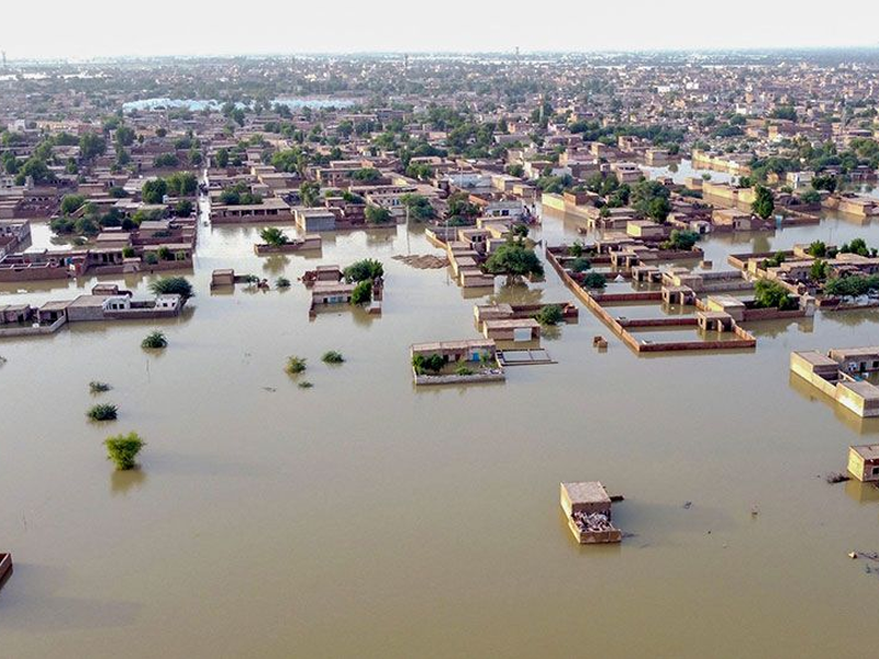 NFRCC mulls over seed distribution in flood-hit areas