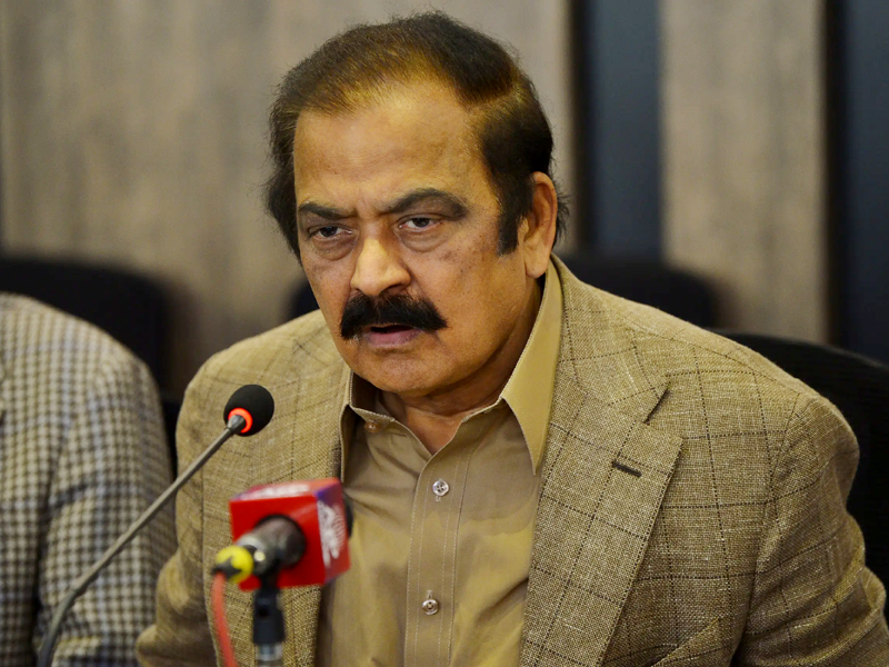 Elahi will have to obtain vote of trust: Rana Sanaullah