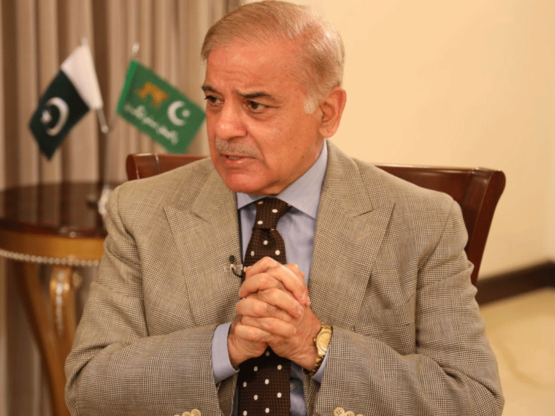 Shehbaz Sharif tasked making contacts with political parties