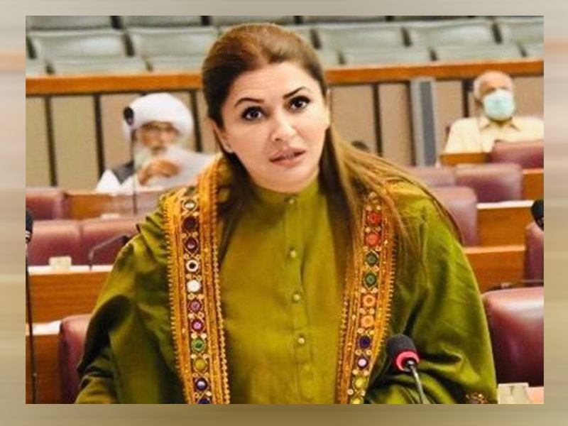 Shazia Marri calls for establishing complaint redressal system for beneficiaries concerns