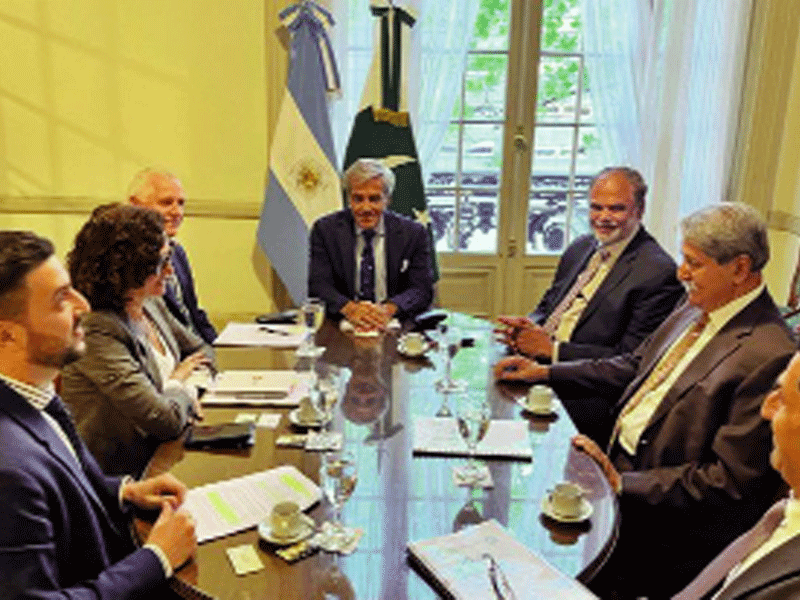 Argentinian investors invited to exploit CPEC incentives: Naveed Qamar