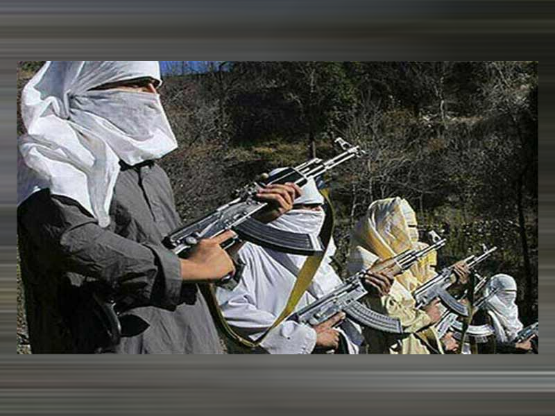 TTP uses American arms against Pakistan: Pentagon