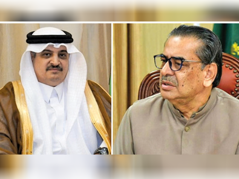 Saudi envoy, caretaker Minister discuss issues being faced by Ummah