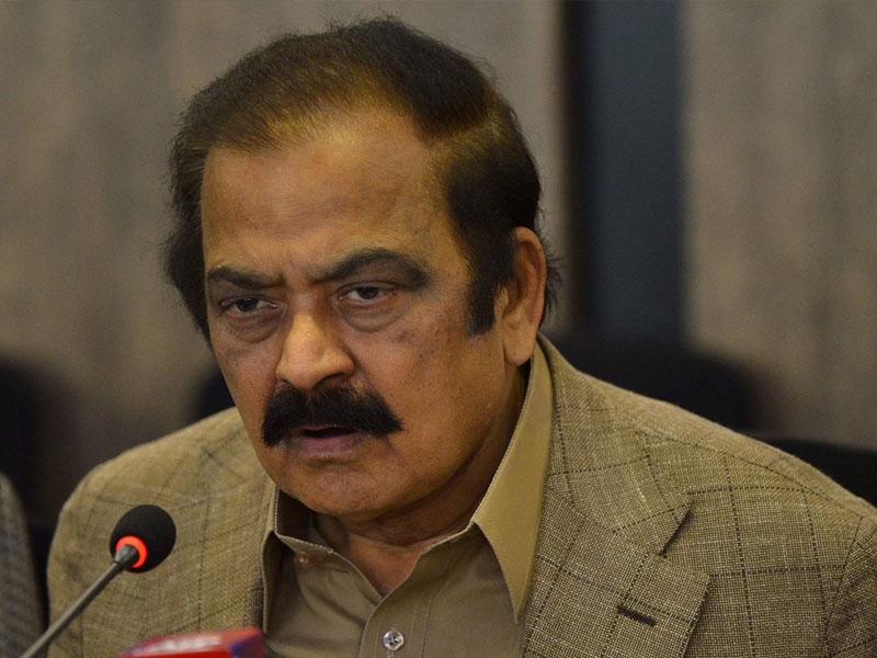 Rana Sanaullah says govt ready to accept SC decision despite reservations