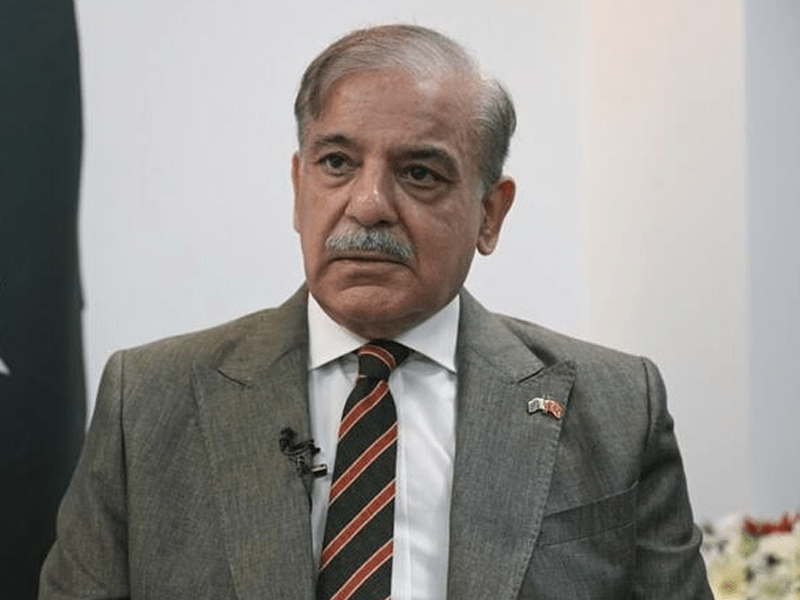 No political, bureaucratic interference to be allowed in anti-smuggling drive: PM Shehbaz