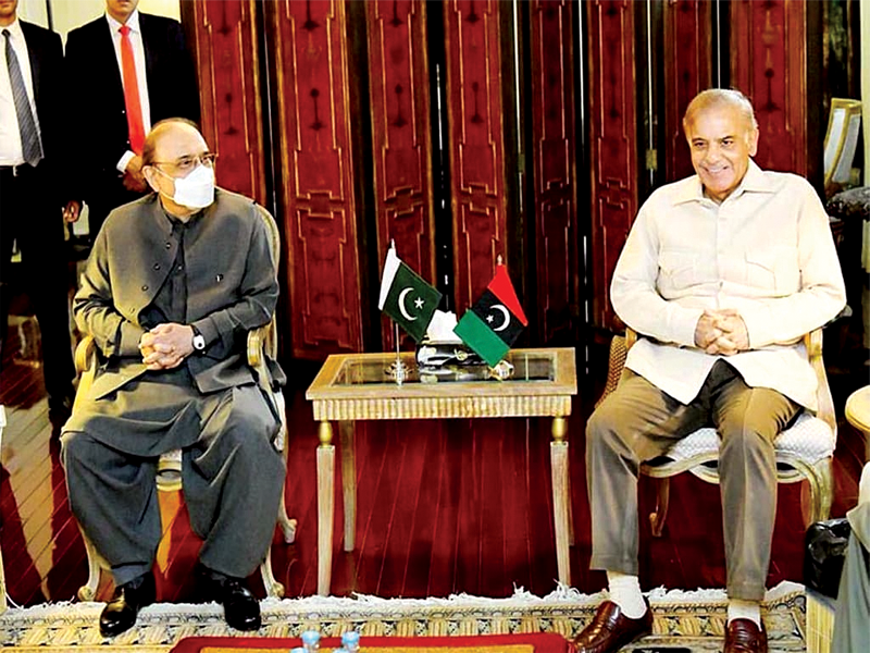 PM Shehbaz, Asif Zardari discuss political situation