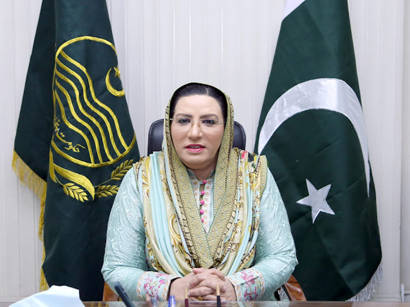 Firdous Awan named IPP Info Secy