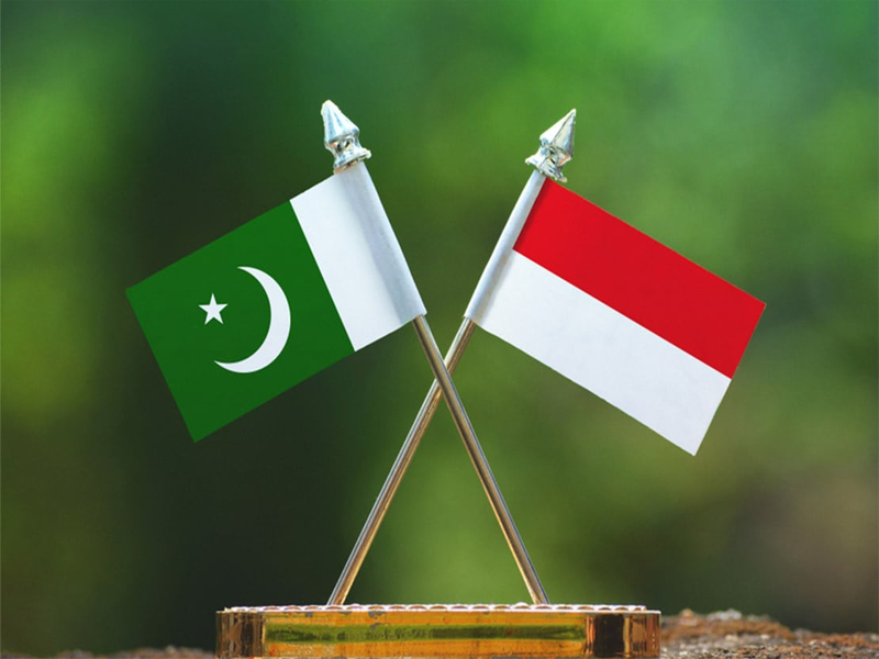 Indonesian Consulate hosts Indo-Pak workshop on Palm Oil 2025