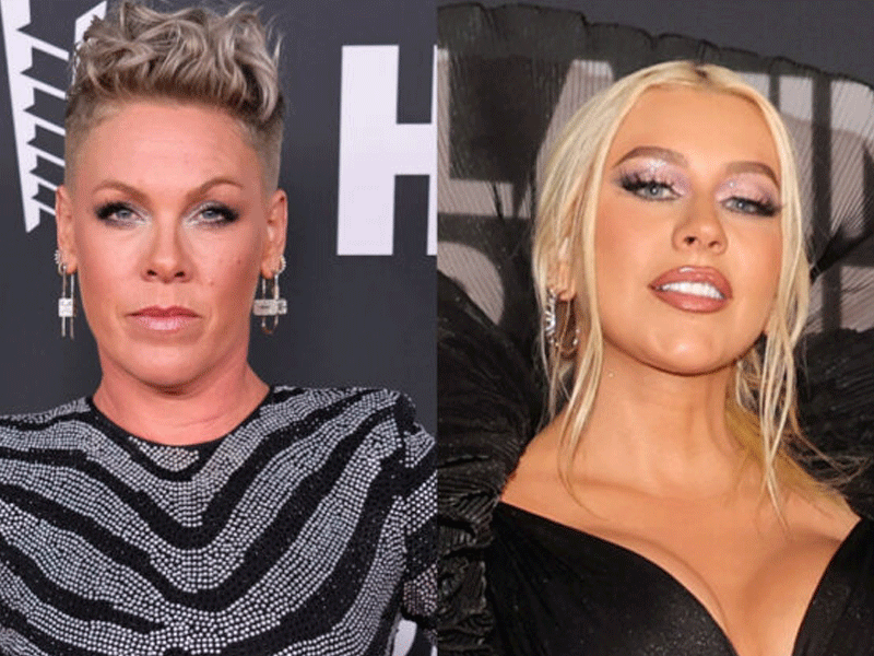 Pink claps back after she was criticised for ‘shading’ Christina