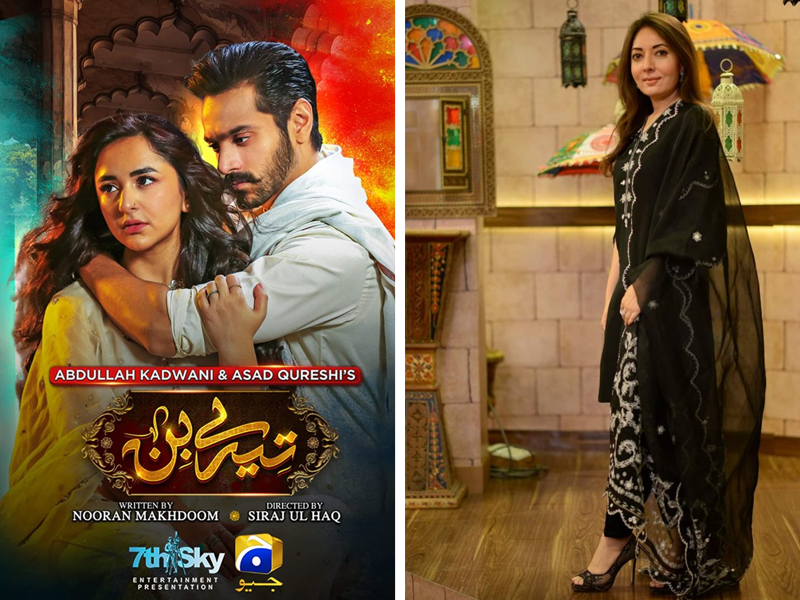 Magic of drama serial 'Tere Bin' went to Sharmila Farooqui