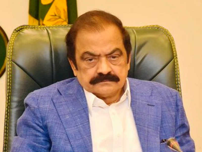 ‘PTI govt responsible for rising spate of terrorism’: Rana Sanaullah