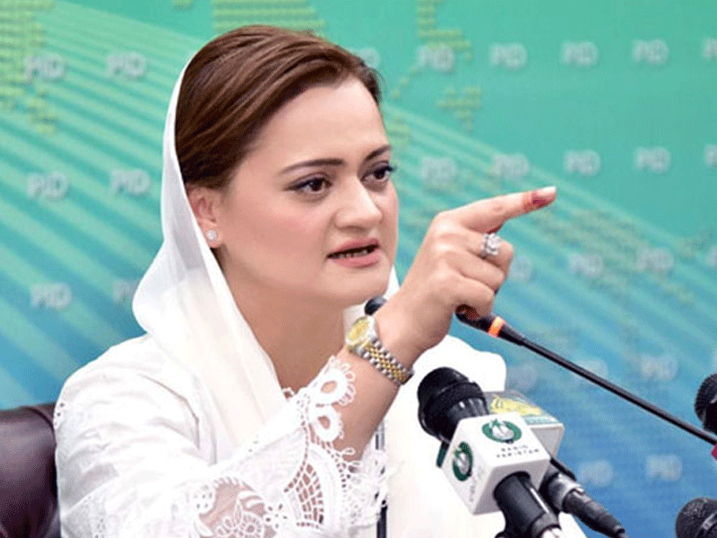 Imran Riaz not journalist: Marriyum Aurangzeb