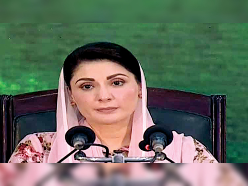 Maryam Nawaz rejects PPP proposal of seat adjustment