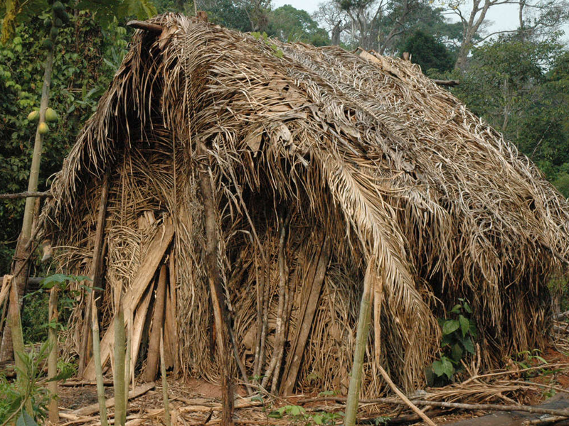 World’s loneliest man, last of his tribe passes away in Brazil