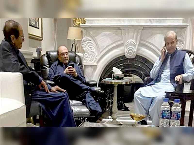 Ch Shujaat, Asif Zardari discuss political, economic situation