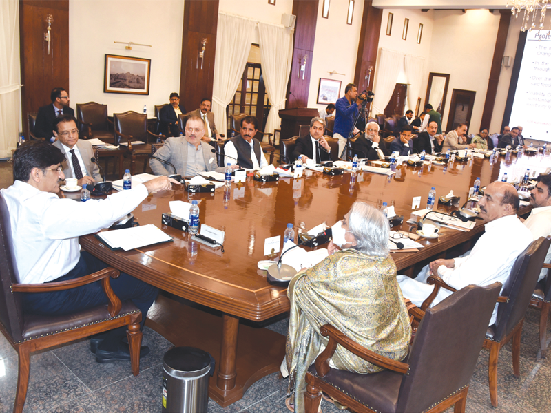 PPP Policy Board decides to launch Yellow Line buses project, Oil Palm Nursery, Rani Bagh project