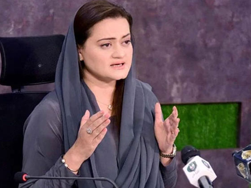 ‘Sadiq, Amin’ confesses to investing $3m charity funds in housing society: Marriyum